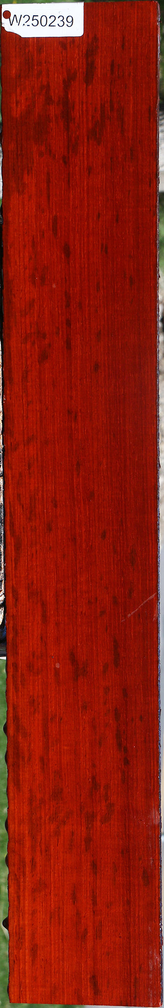 Figured Padauk Lumber