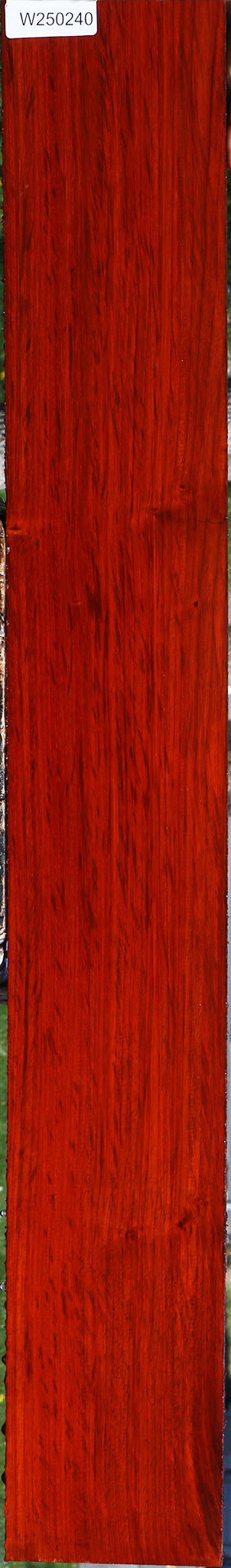 Padauk Lumber
