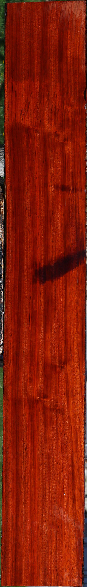 Padauk Lumber