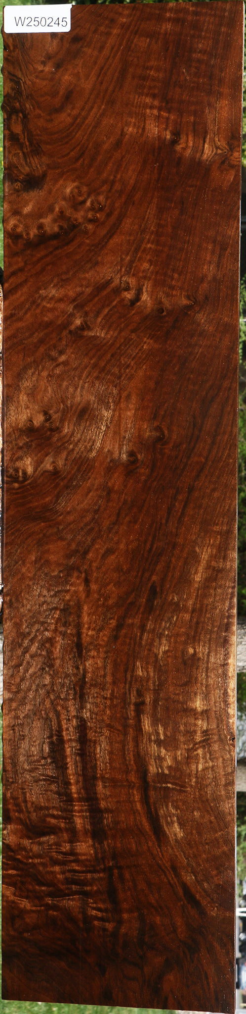 Extra Fancy Claro Walnut Instrument Lumber