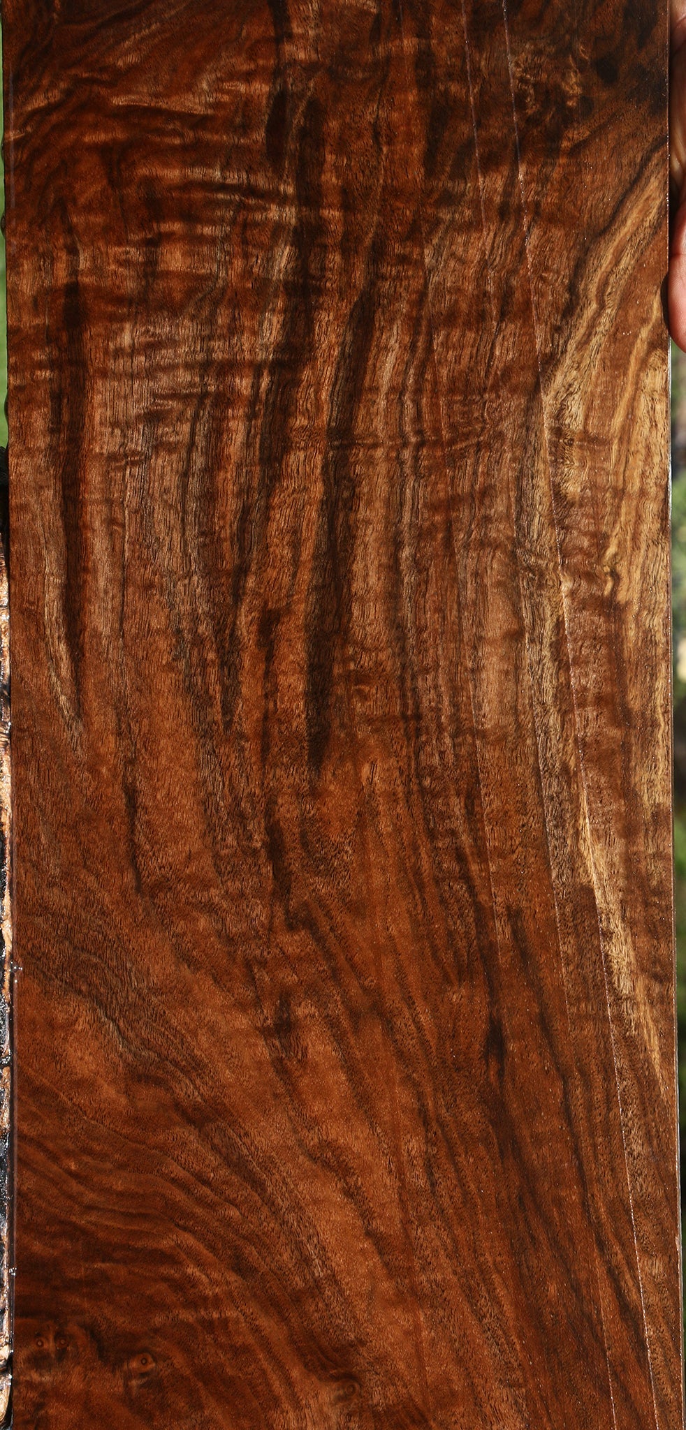 Extra Fancy Claro Walnut Instrument Lumber