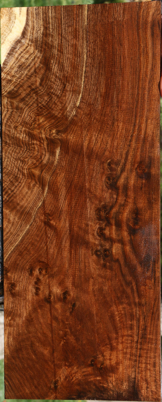 Extra Fancy Claro Walnut Instrument Lumber