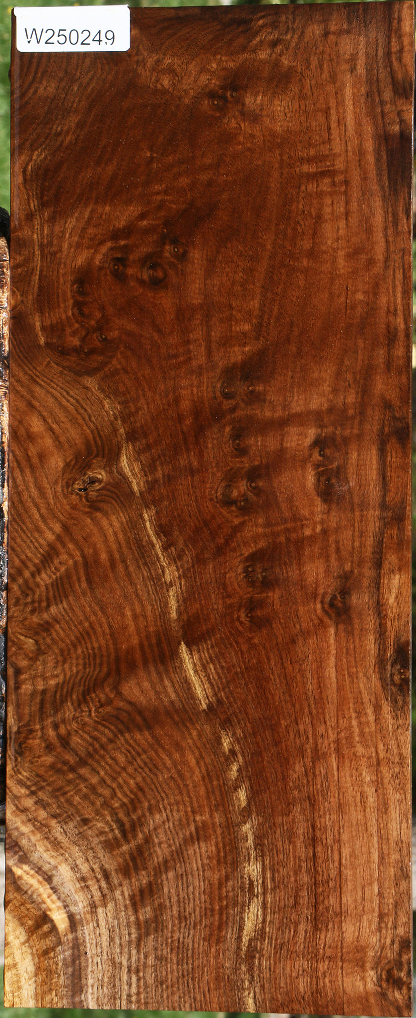 Extra Fancy Claro Walnut Instrument Lumber