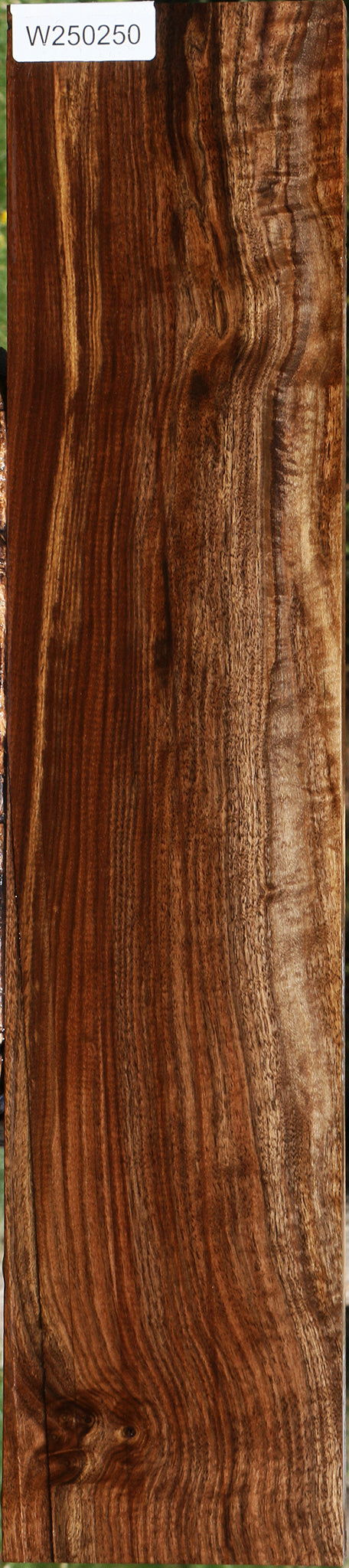 Figured Claro Walnut Lumber