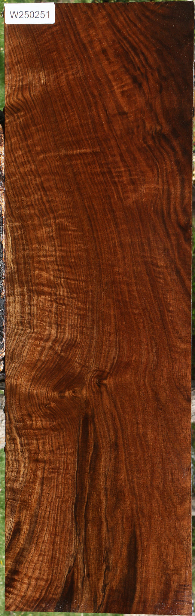 Extra Fancy Claro Walnut Lumber