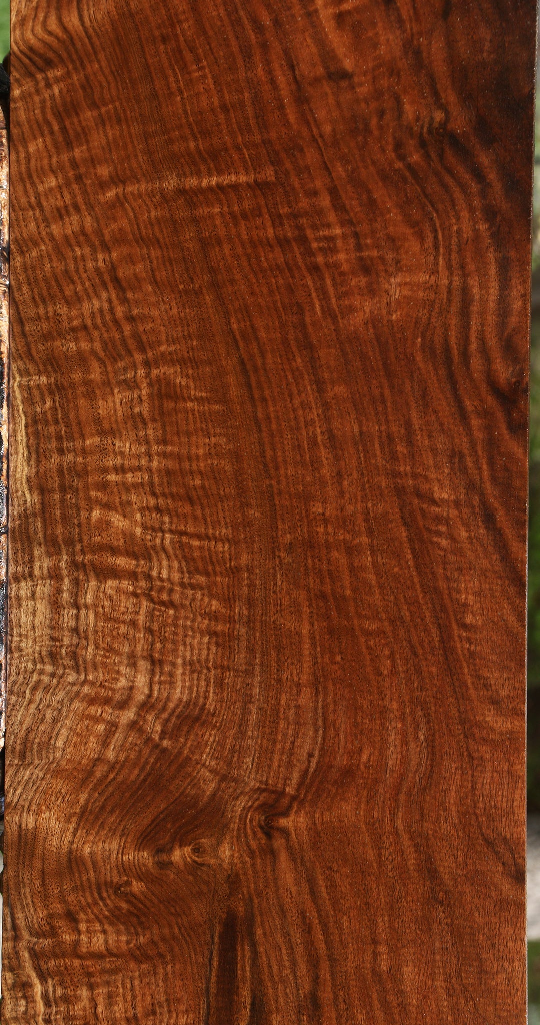 Extra Fancy Claro Walnut Lumber