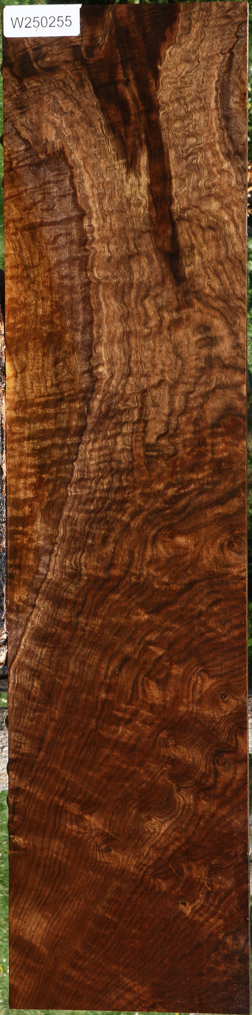 Extra Fancy Claro Walnut Micro Lumber