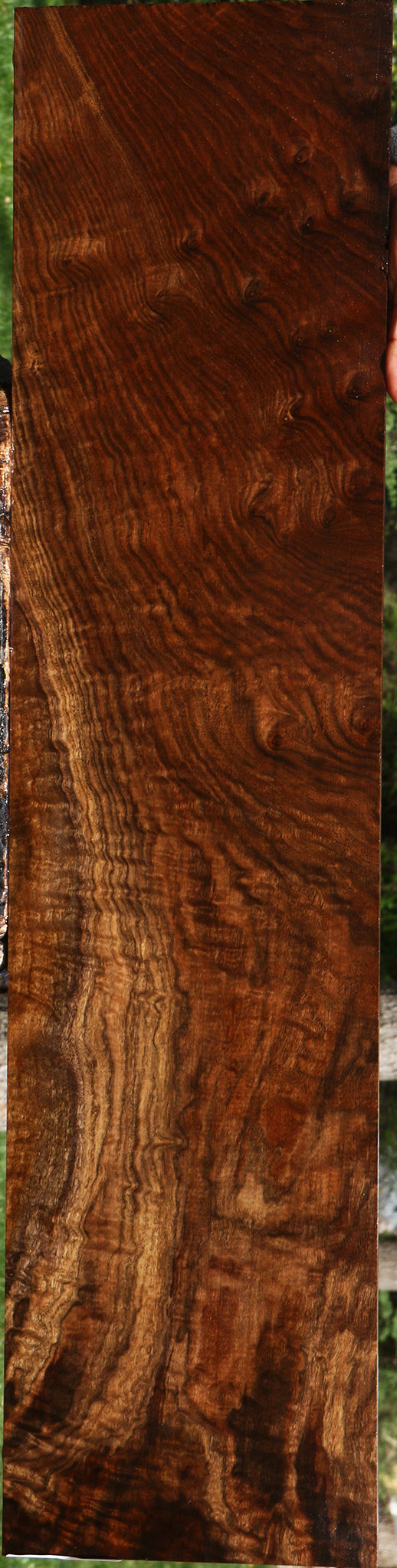 Extra Fancy Claro Walnut Micro Lumber
