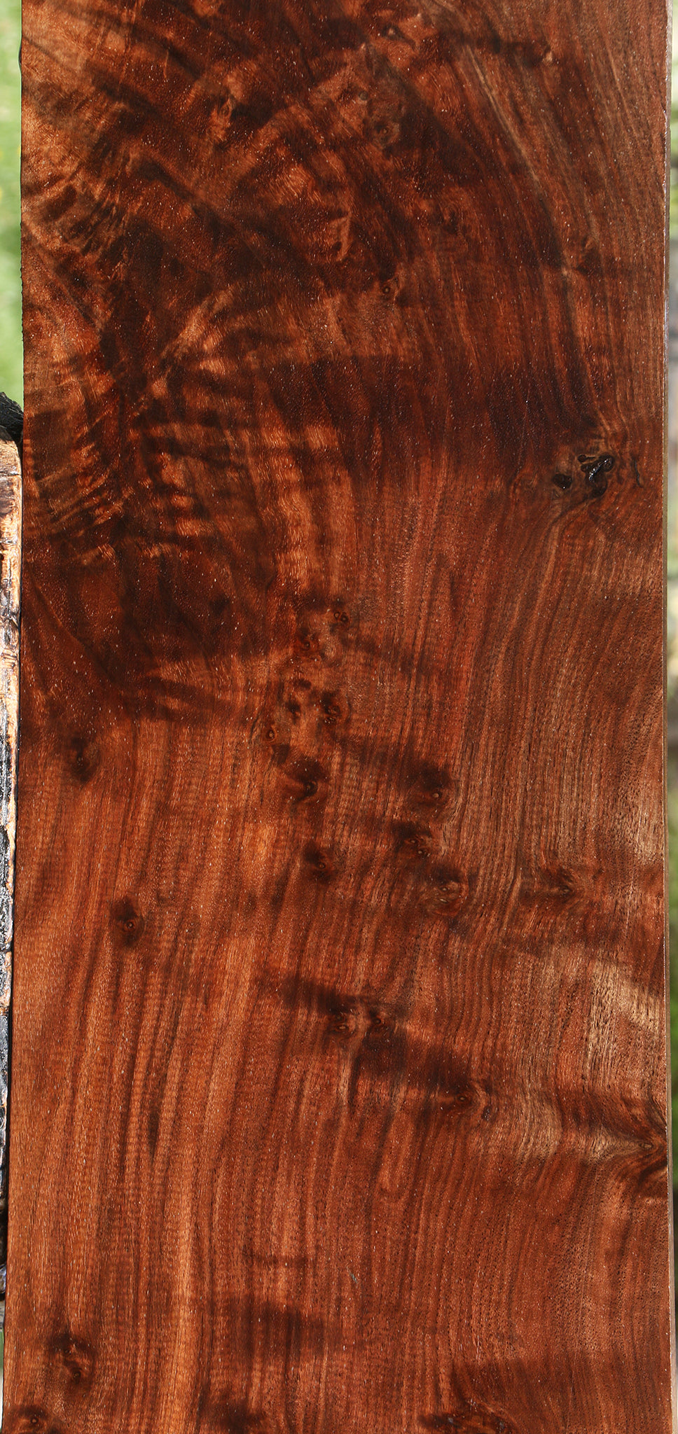 Extra Fancy Claro Walnut Lumber