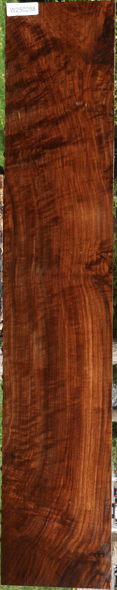 Extra Fancy Claro Walnut Lumber