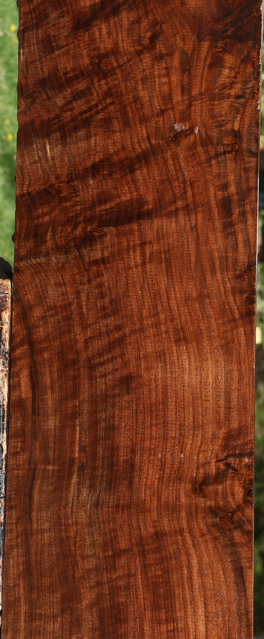 Extra Fancy Claro Walnut Lumber