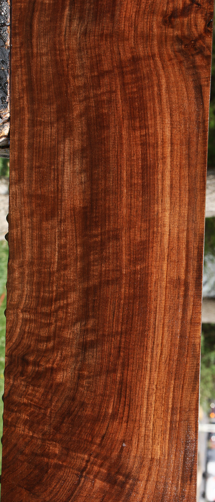 Extra Fancy Claro Walnut Lumber