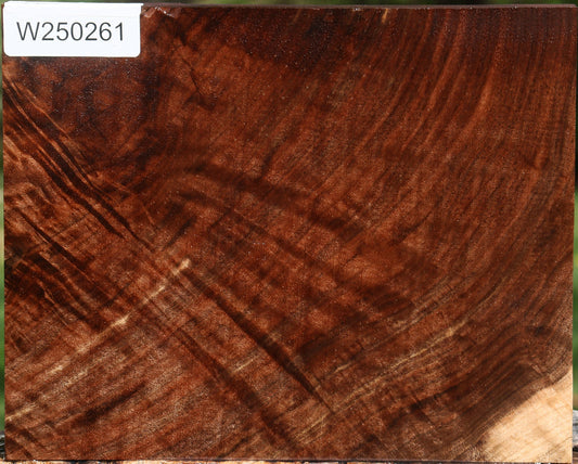 Extra Fancy Claro Walnut Lumber