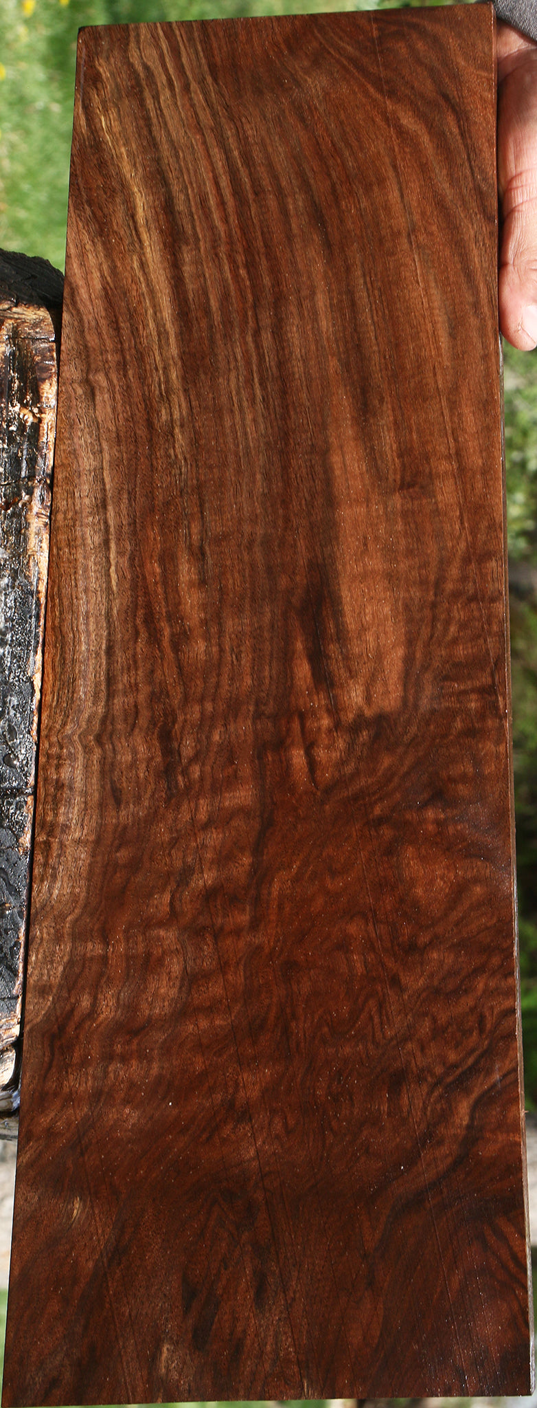 Extra Fancy Claro Walnut Instrument Lumber