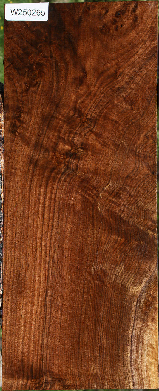 Extra Fancy Claro Walnut Instrument Lumber