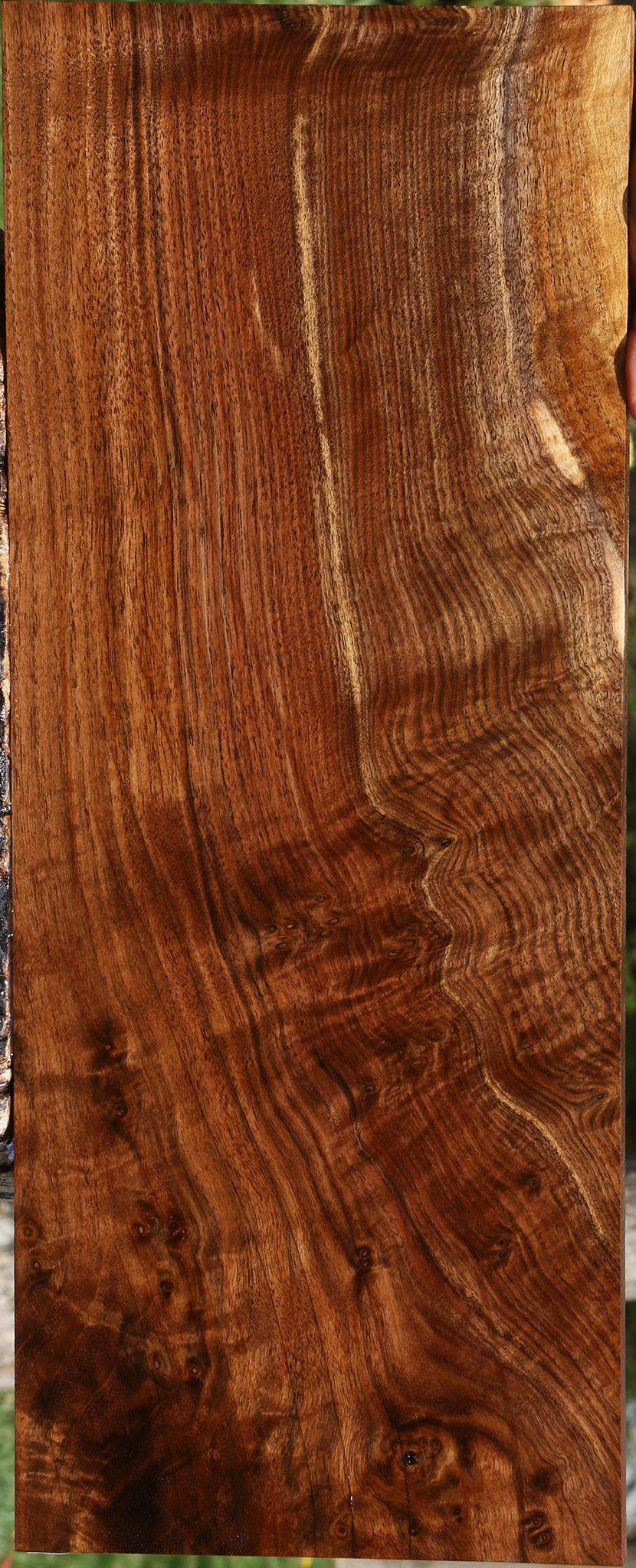 Extra Fancy Claro Walnut Instrument Lumber