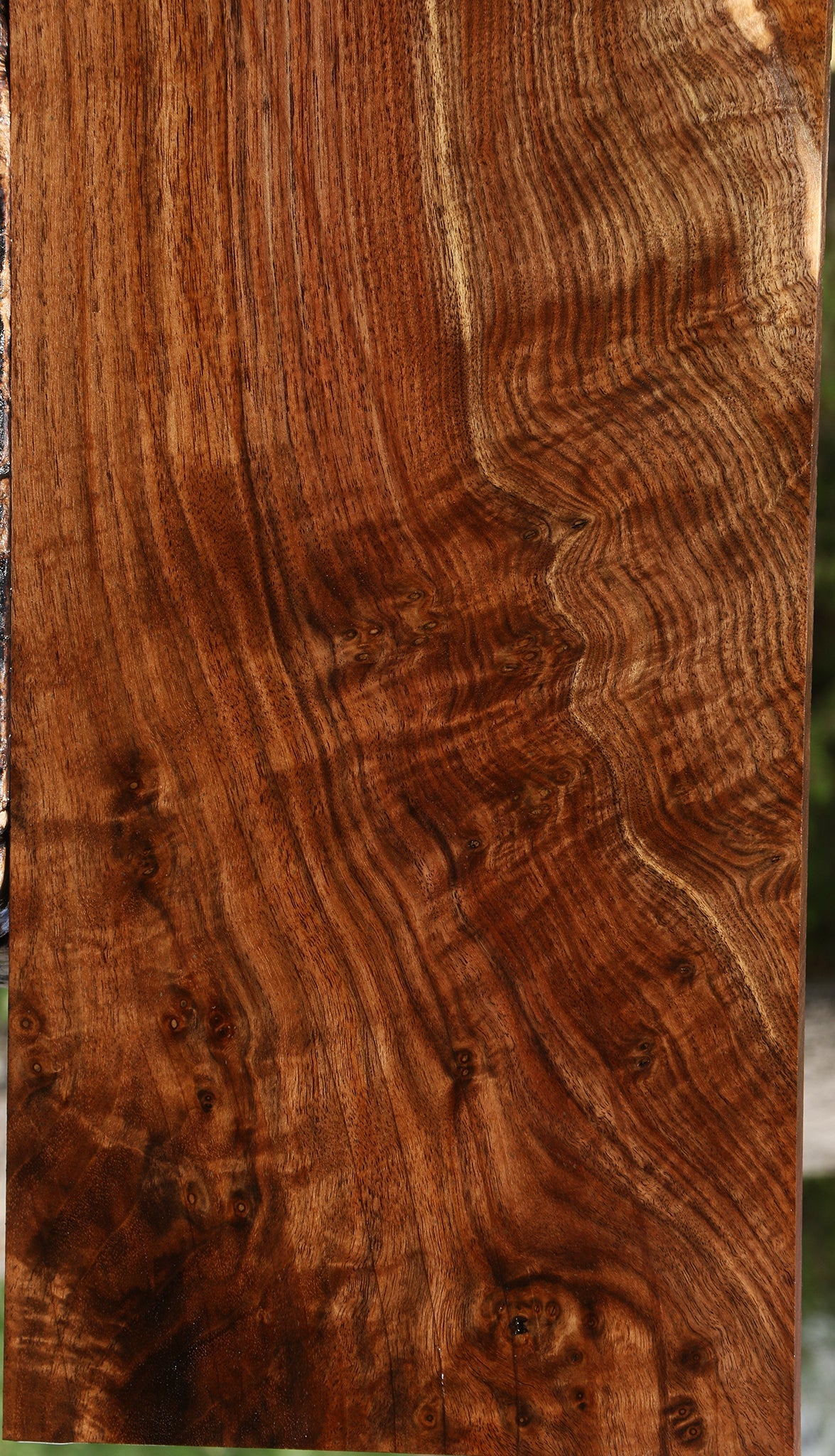 Extra Fancy Claro Walnut Instrument Lumber