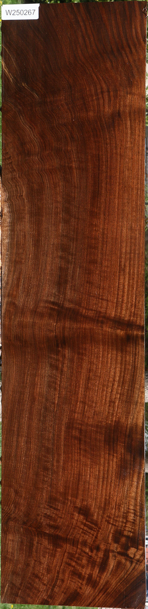 Extra Fancy Claro Walnut Lumber