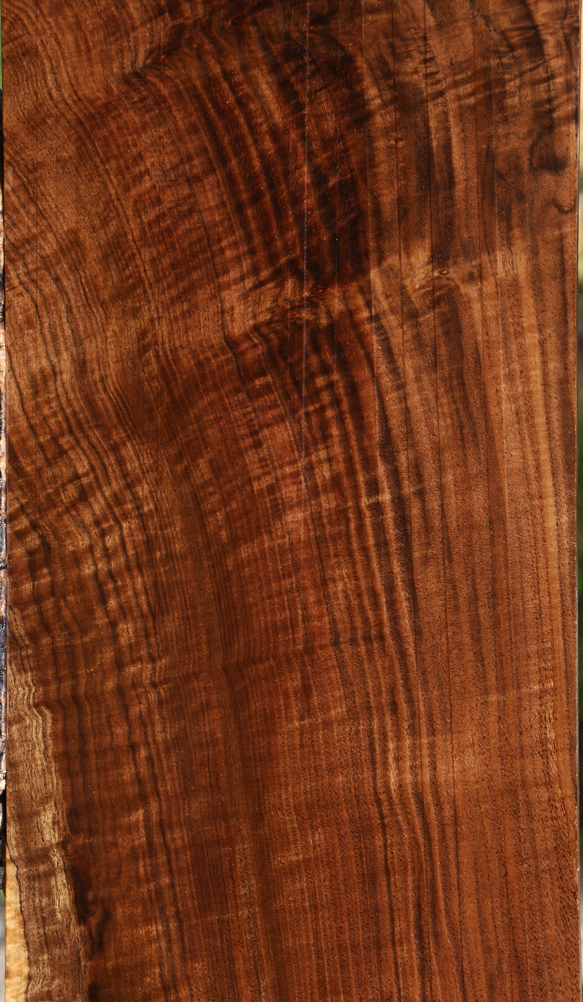 Extra Fancy Claro Walnut Lumber