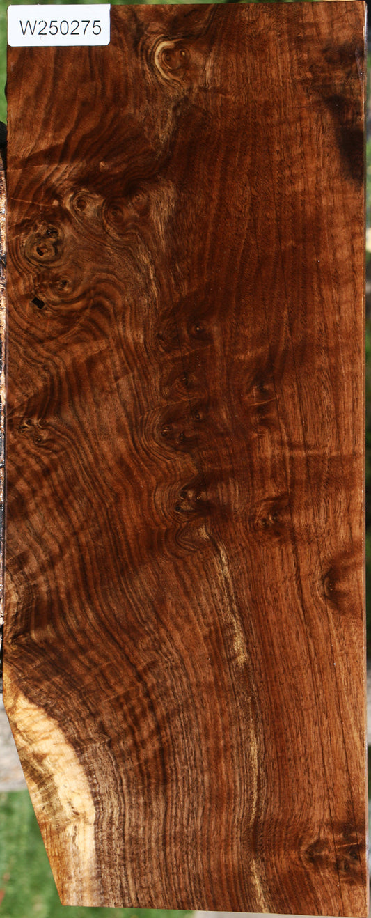 Extra Fancy Claro Walnut Instrument Lumber