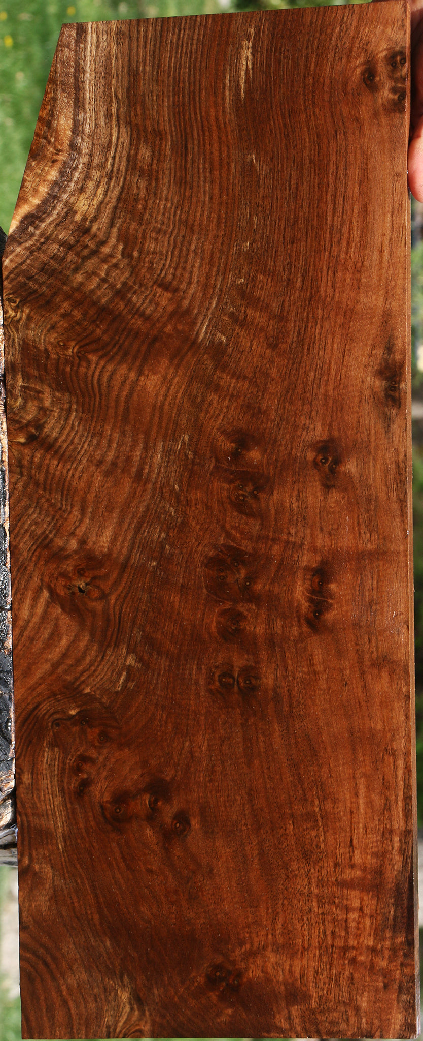 Extra Fancy Claro Walnut Instrument Lumber