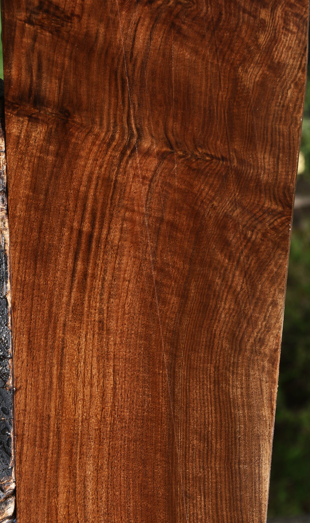 Figured Claro Walnut Lumber