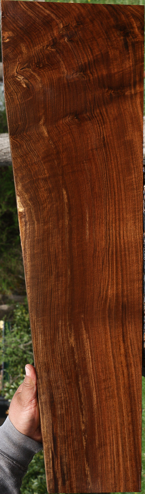 Figured Claro Walnut Lumber