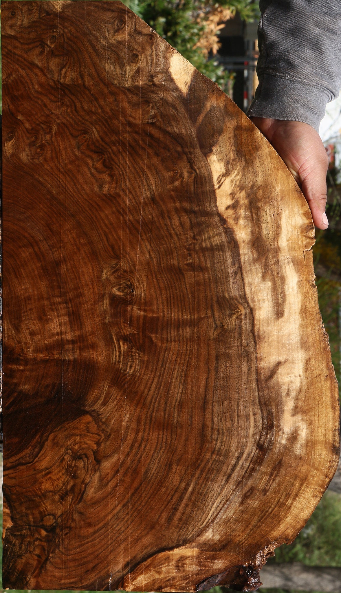 Extra Fancy Claro Live Edge Walnut Lumber