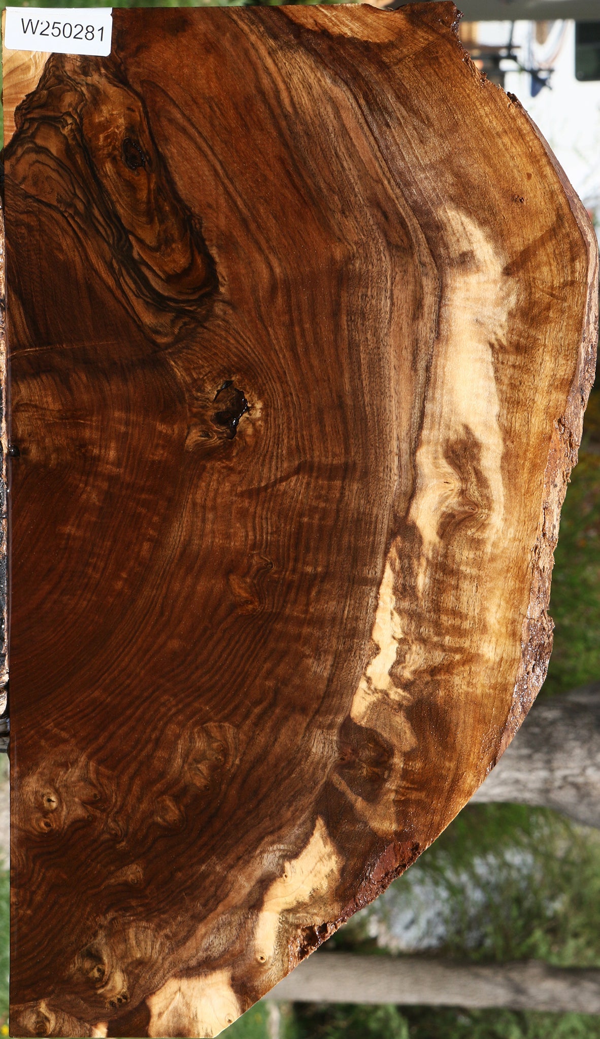 Extra Fancy Claro Live Edge Walnut Lumber