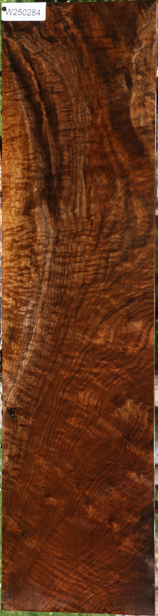 Extra Fancy Claro Walnut Lumber