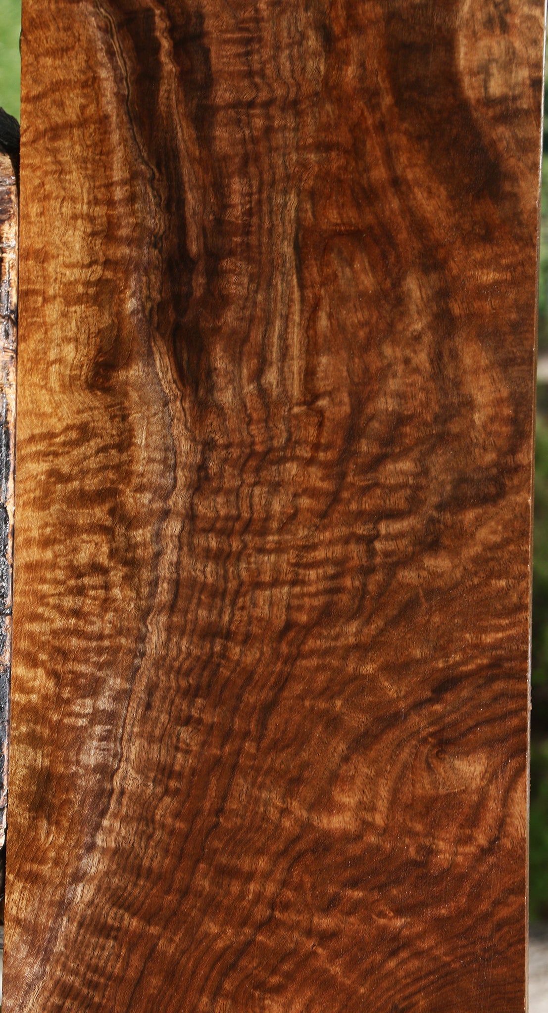 Extra Fancy Claro Walnut Lumber