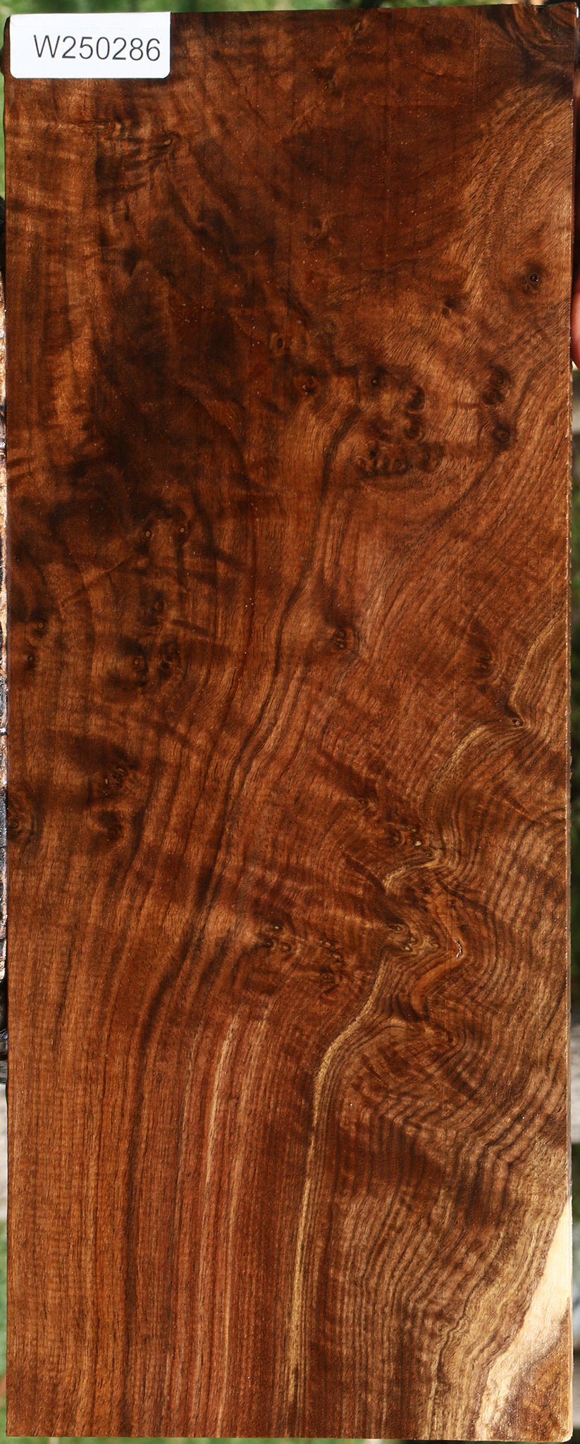 Extra Fancy Claro Walnut Instrument Lumber