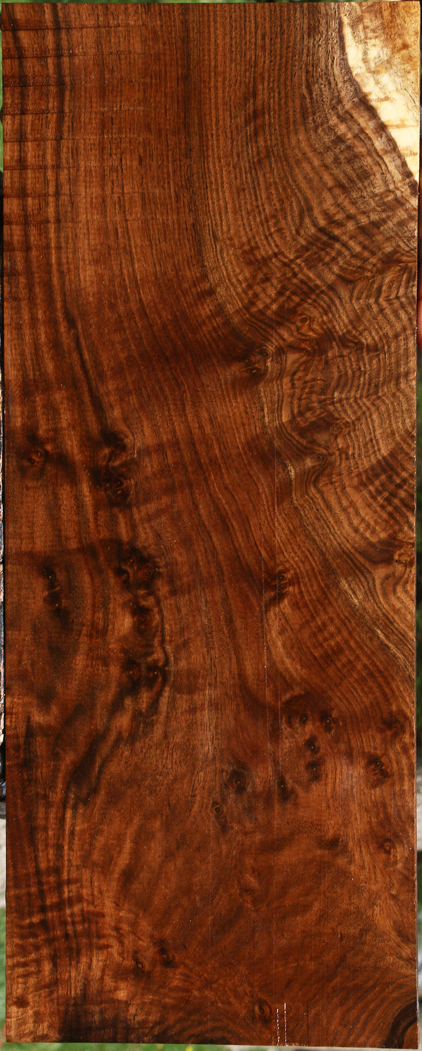 Extra Fancy Claro Walnut Instrument Lumber