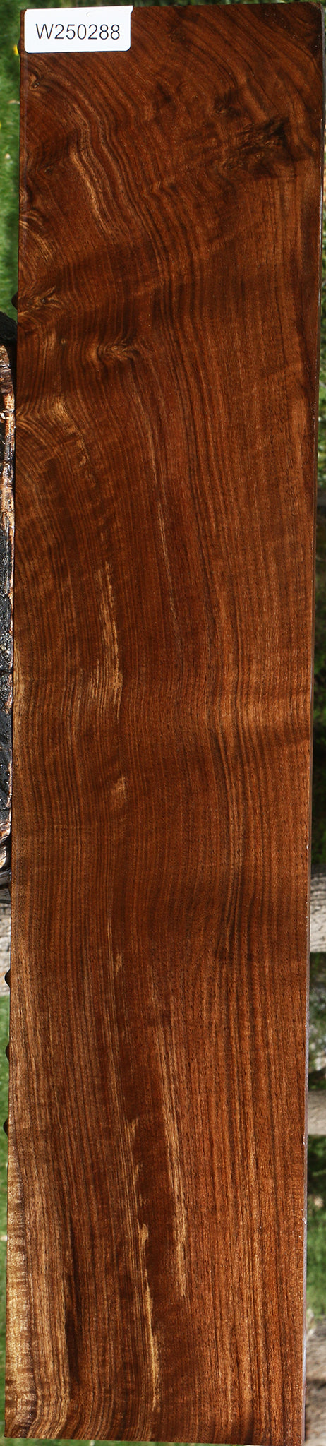Figured Claro Walnut Lumber
