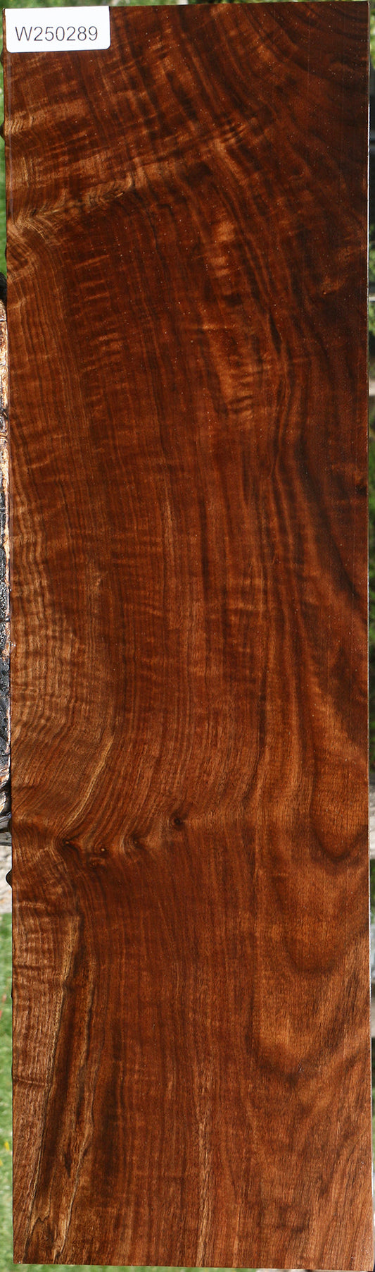 Extra Fancy Claro Walnut Lumber