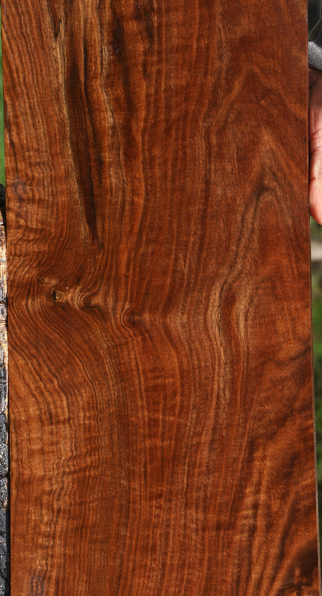 Extra Fancy Claro Walnut Lumber