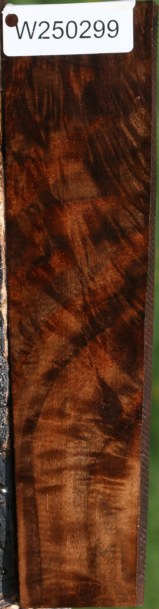 Extra Fancy Claro Walnut Lumber