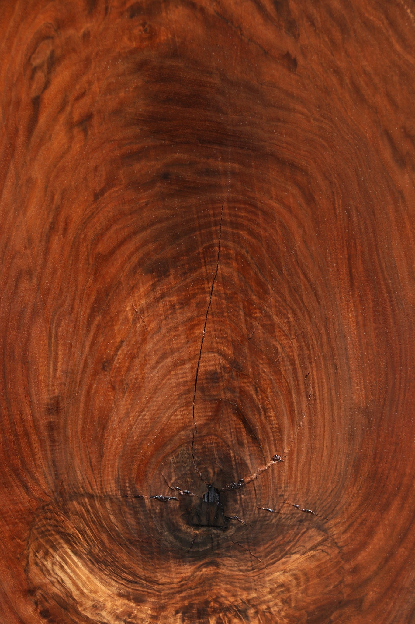 Extra Fancy Claro Walnut Live Edge Slab