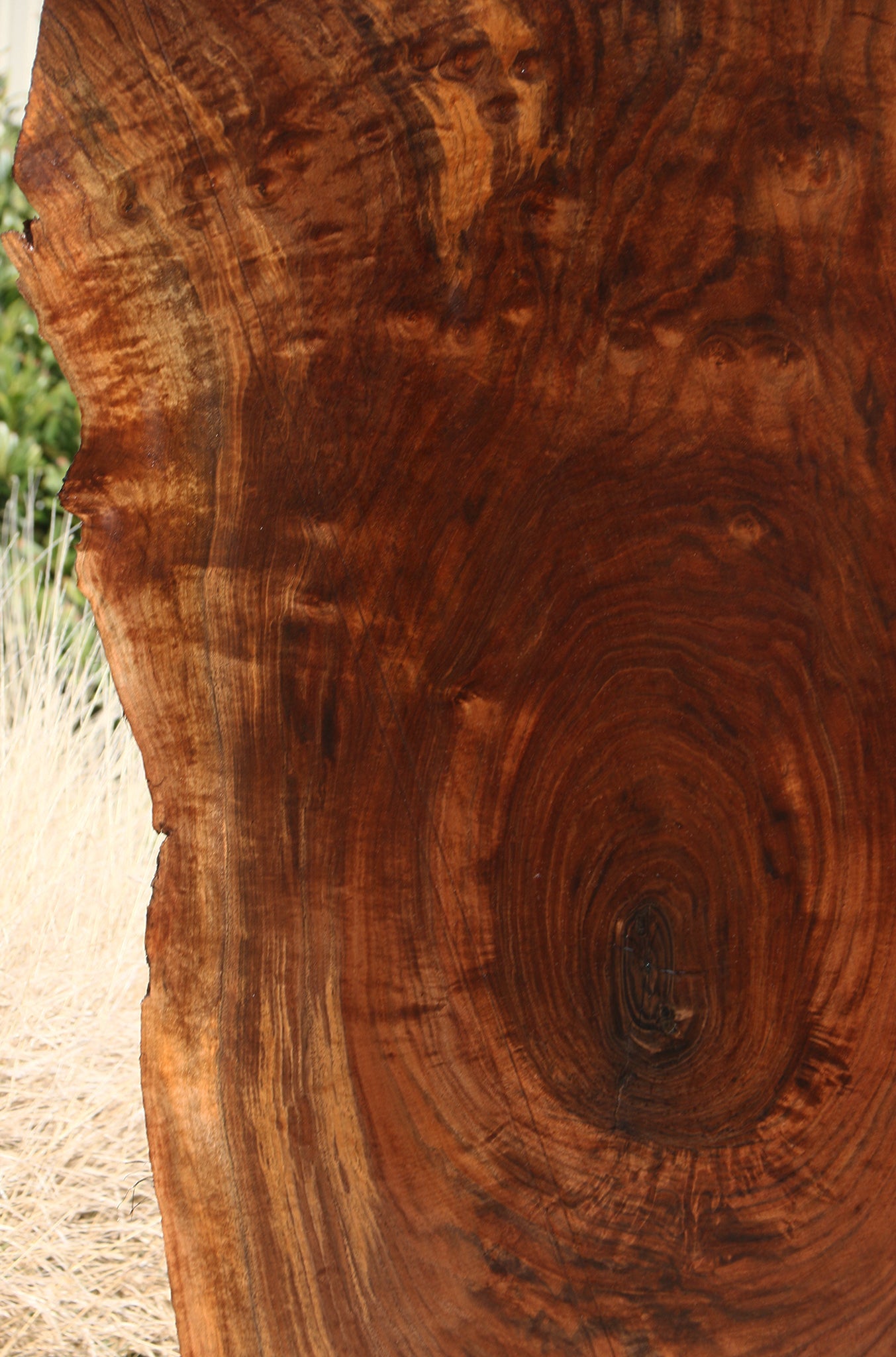 Extra Fancy Claro Walnut Live Edge Slab