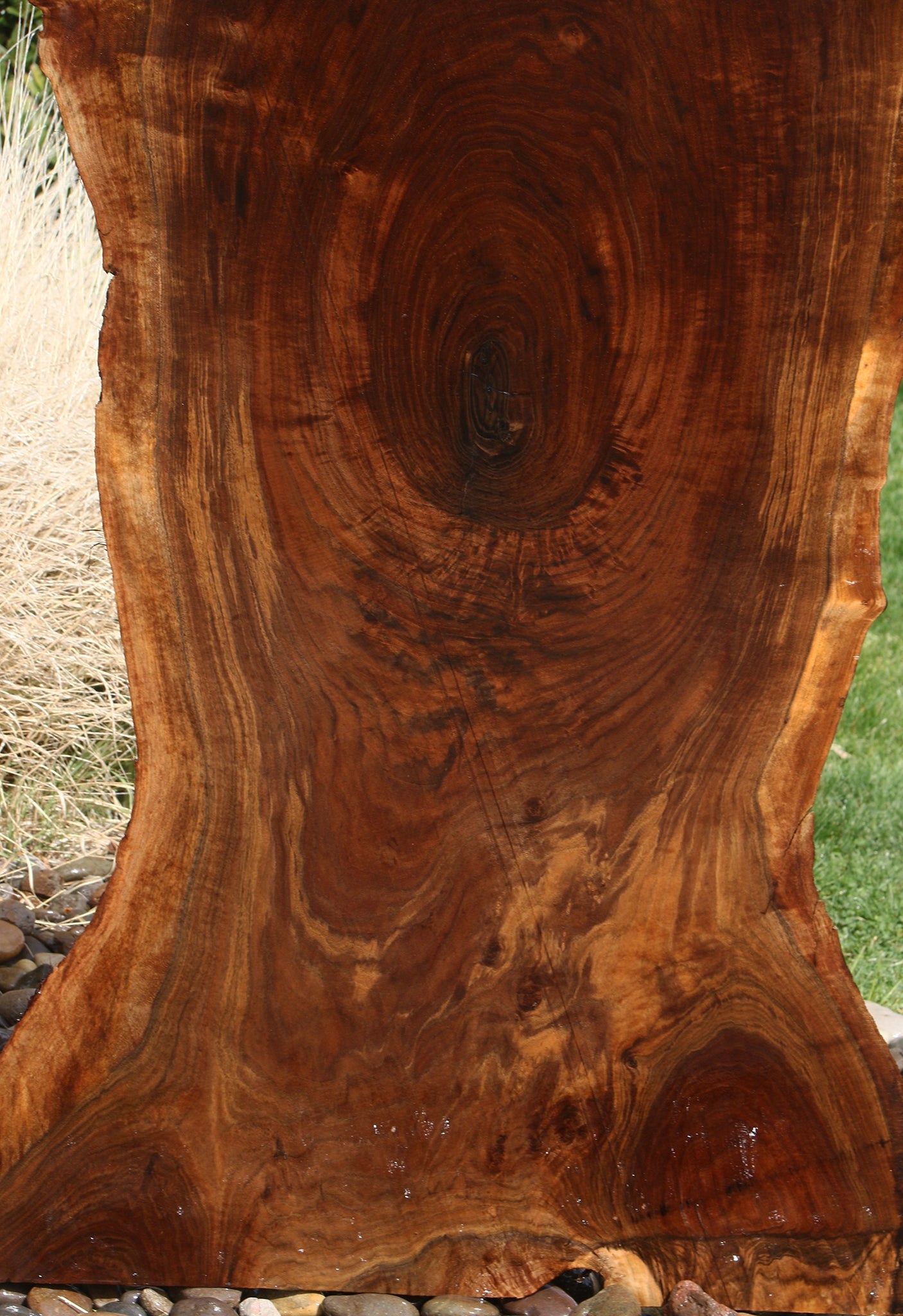 Extra Fancy Claro Walnut Live Edge Slab