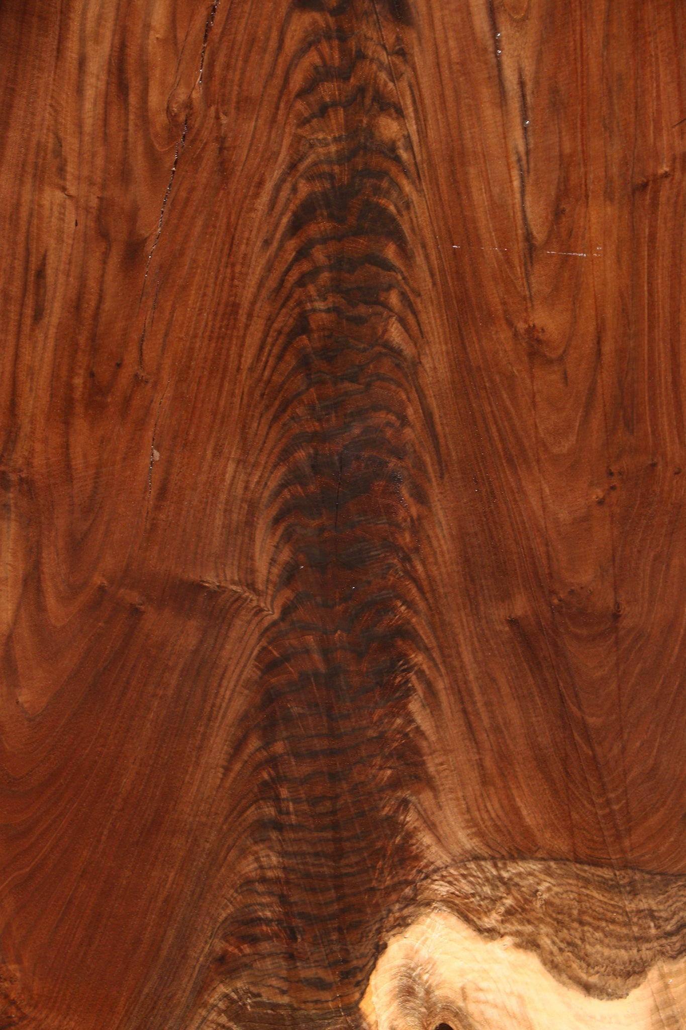 Extra Fancy Rustic Claro Walnut Live Edge Slab
