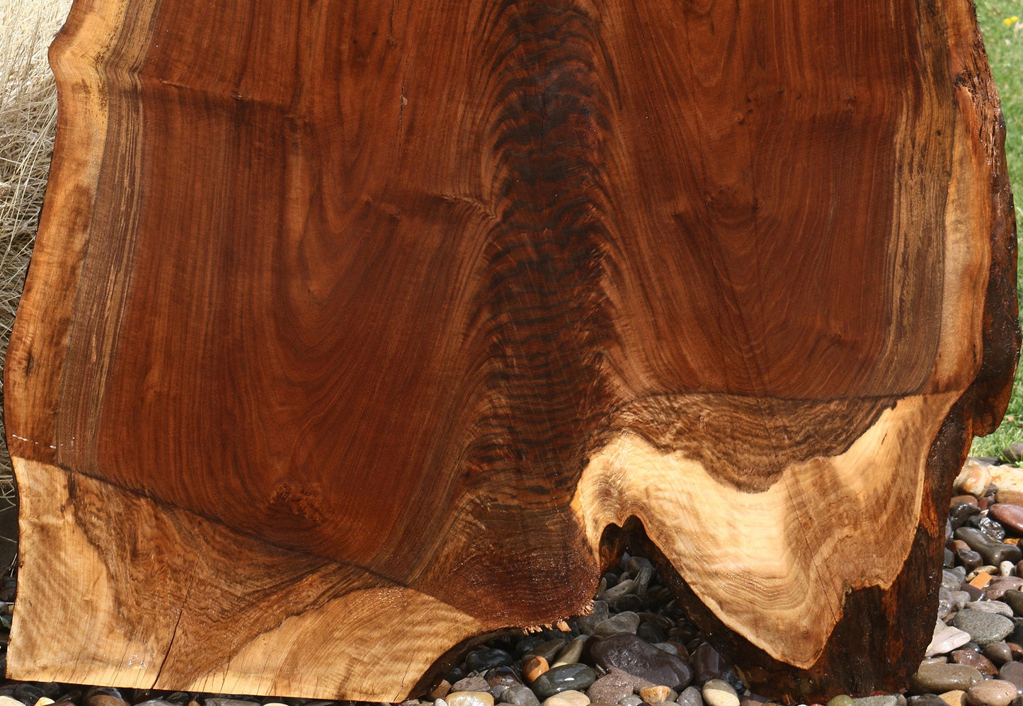 Extra Fancy Rustic Claro Walnut Live Edge Slab