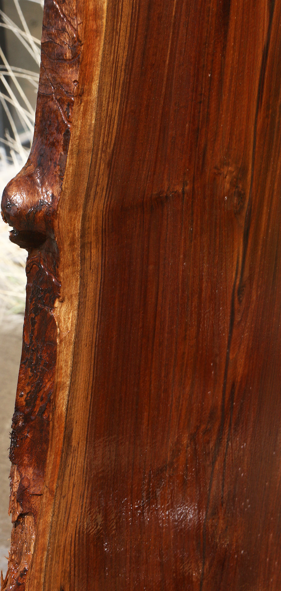 Extra Fancy Rustic Claro Walnut Live Edge Slab