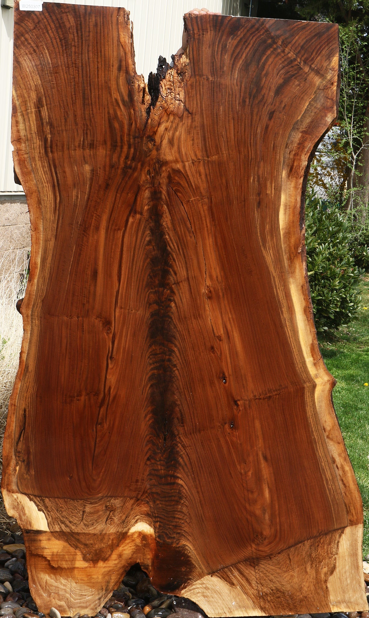 Extra Fancy Rustic Claro Walnut Live Edge Slab