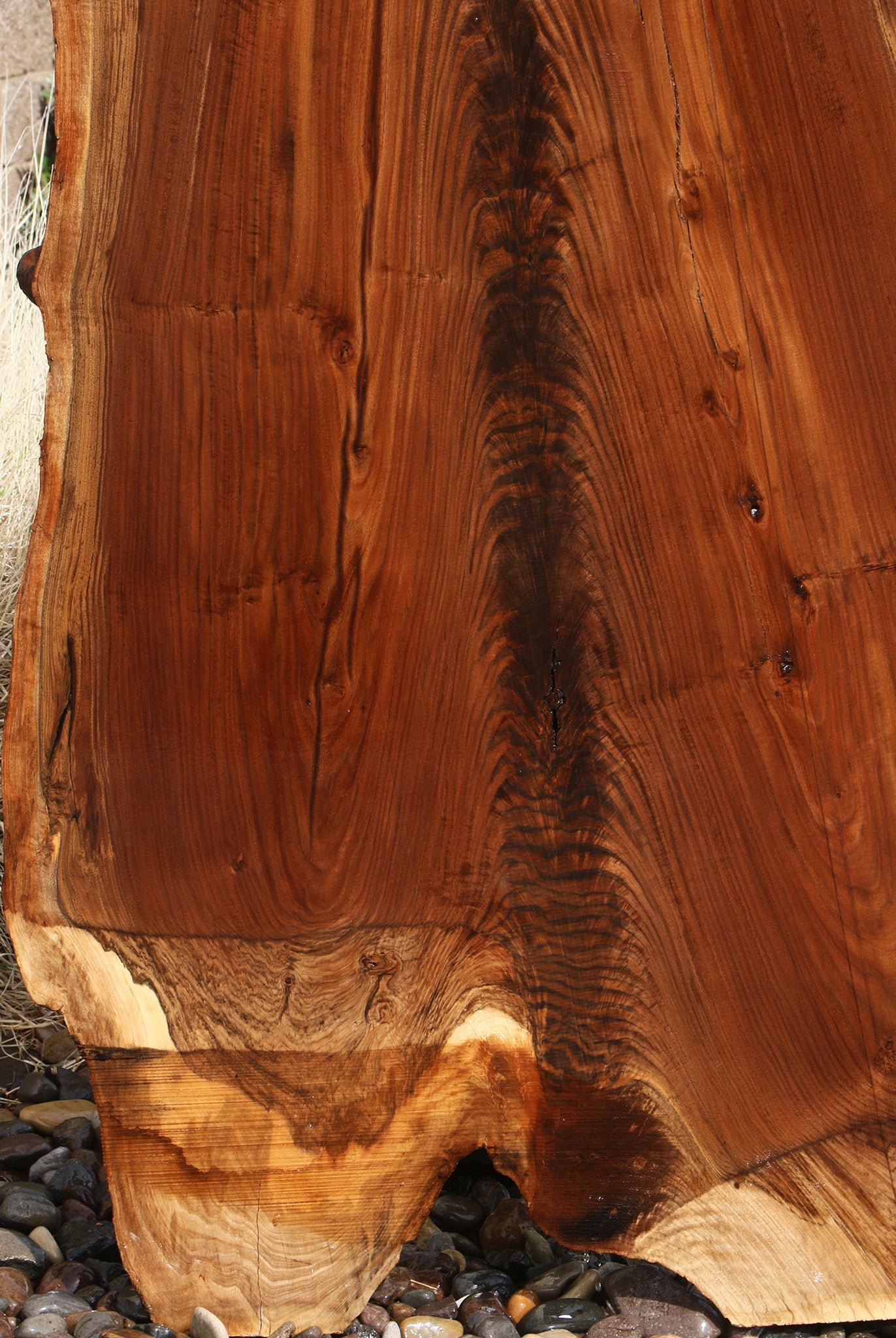 Extra Fancy Rustic Claro Walnut Live Edge Slab