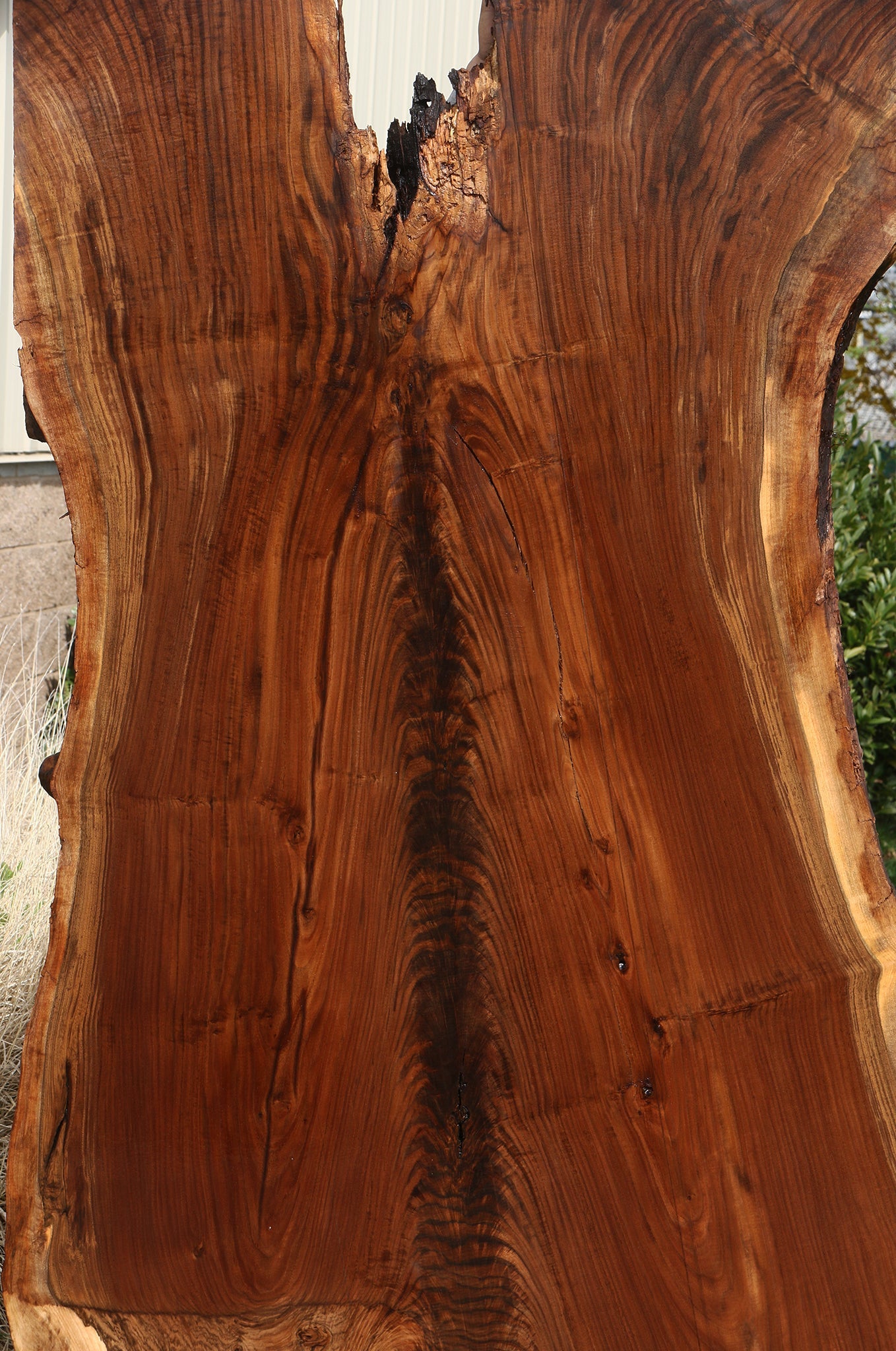 Extra Fancy Rustic Claro Walnut Live Edge Slab