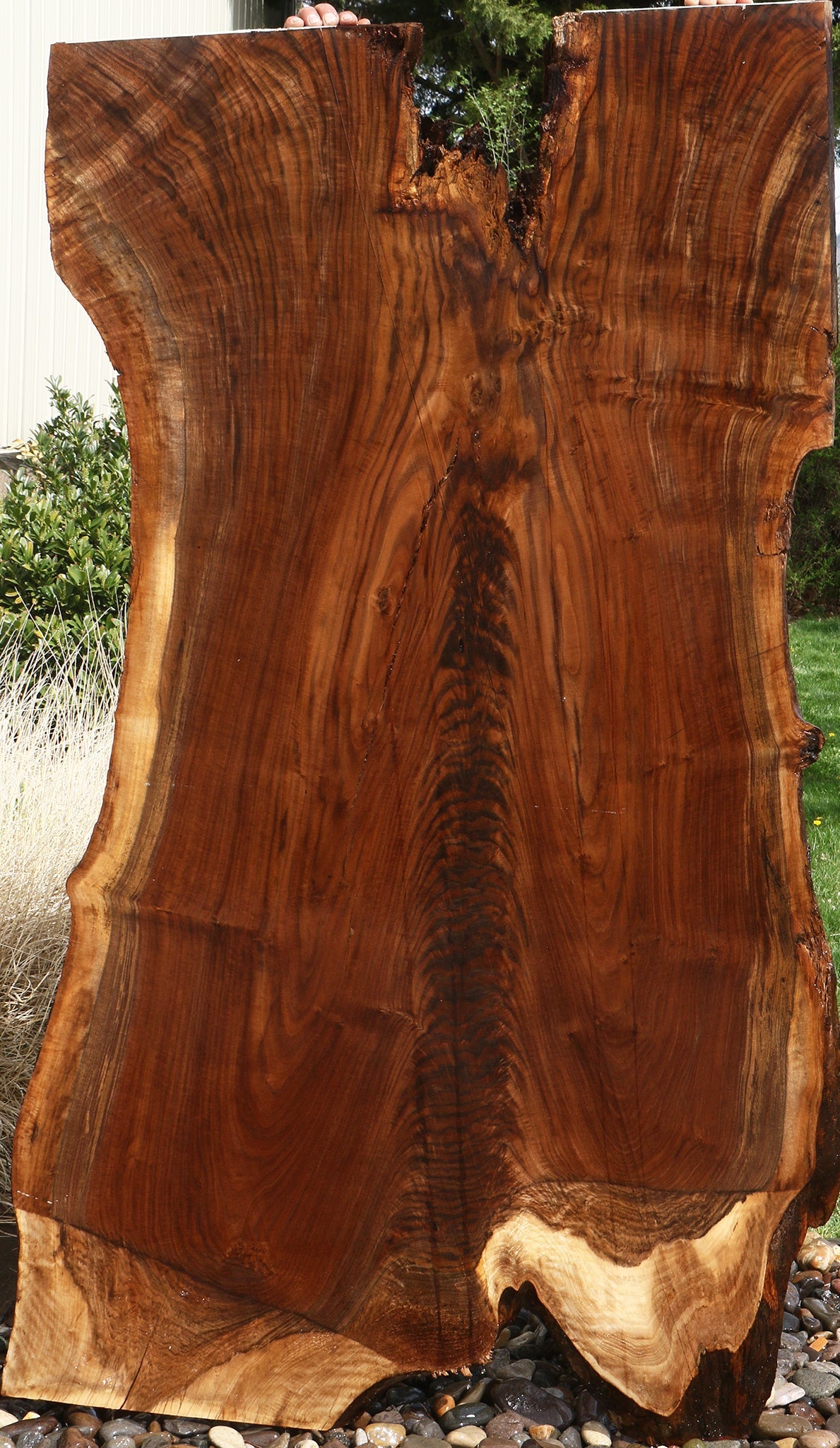 Extra Fancy Rustic Claro Walnut Live Edge Slab