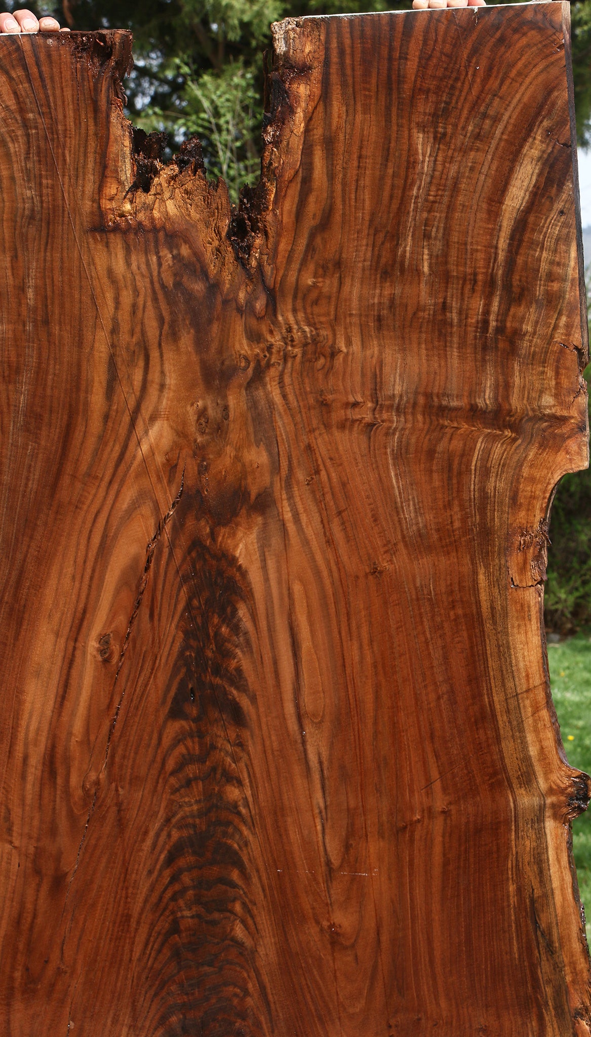 Extra Fancy Rustic Claro Walnut Live Edge Slab