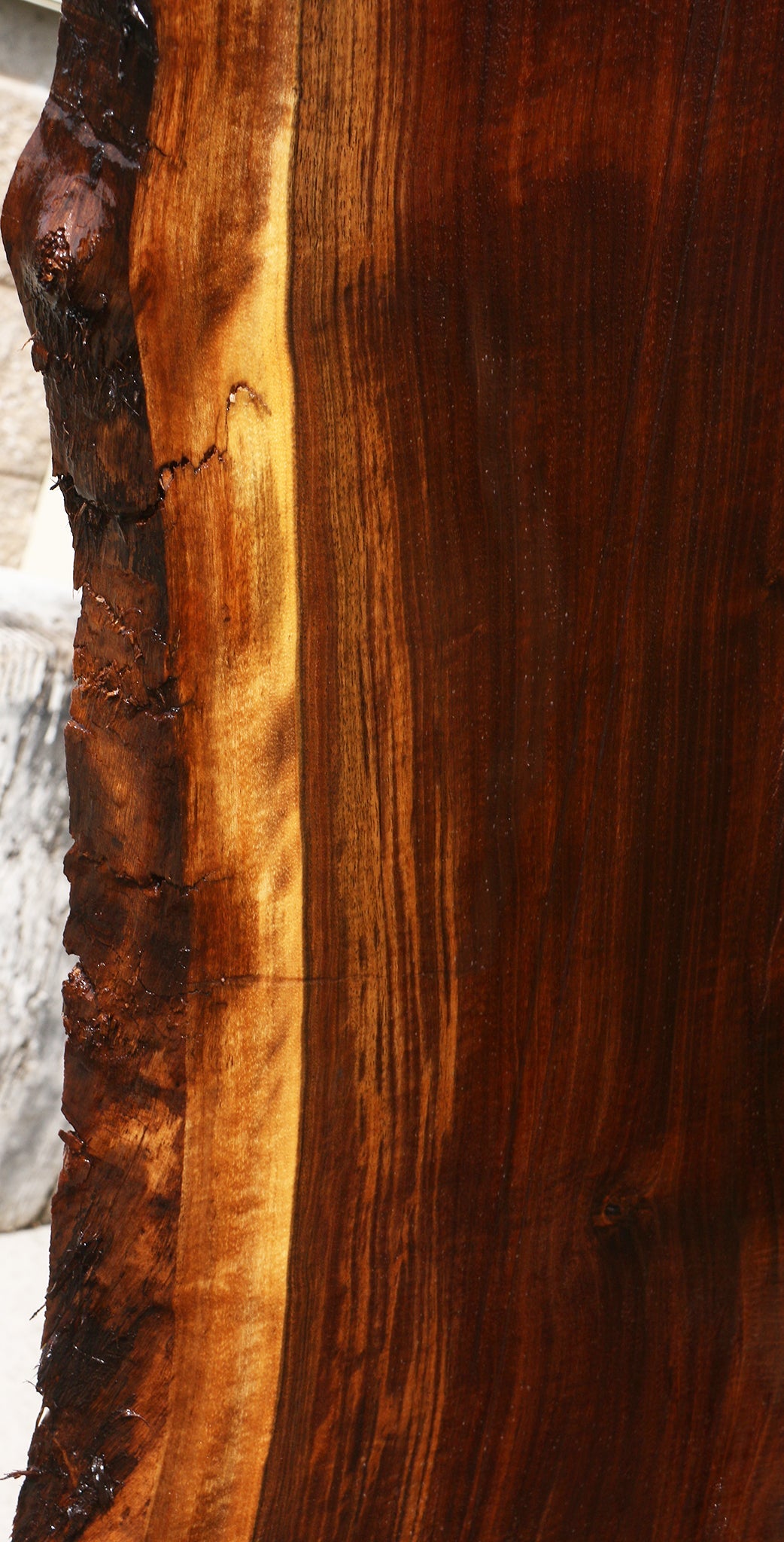 Extra Fancy Fiddleback Claro Walnut Live Edge Slab