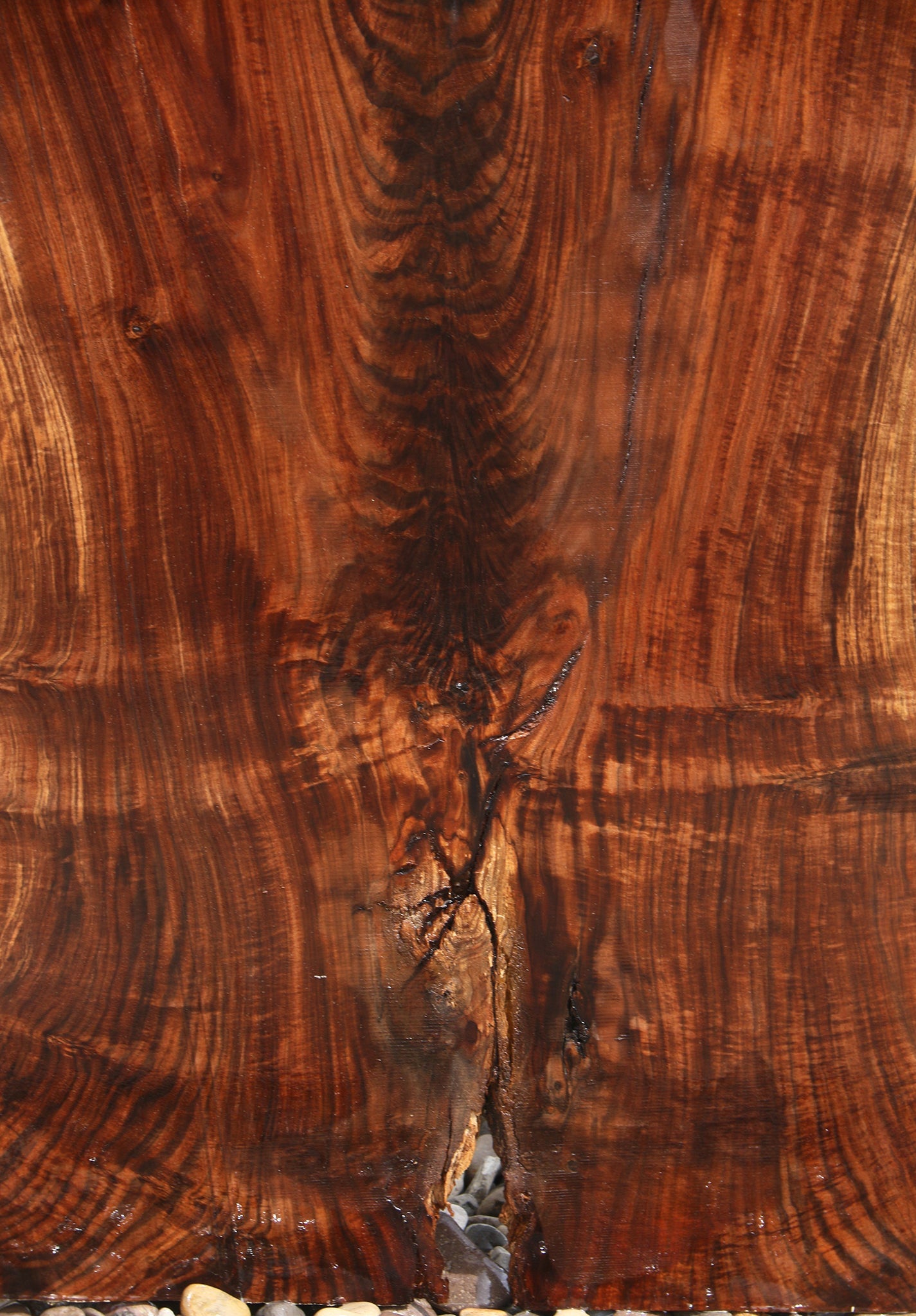 Extra Fancy Fiddleback Claro Walnut Live Edge Slab